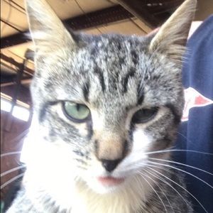 Meet your Posher, Anne